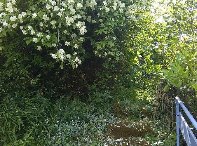 Moulin De Cornevis Bed and Breakfast